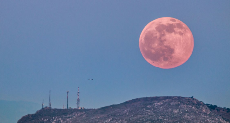 Luna Rosa de Abril