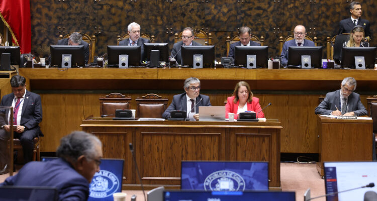 ministro de hacienda, mario marcel, en sesión del senado