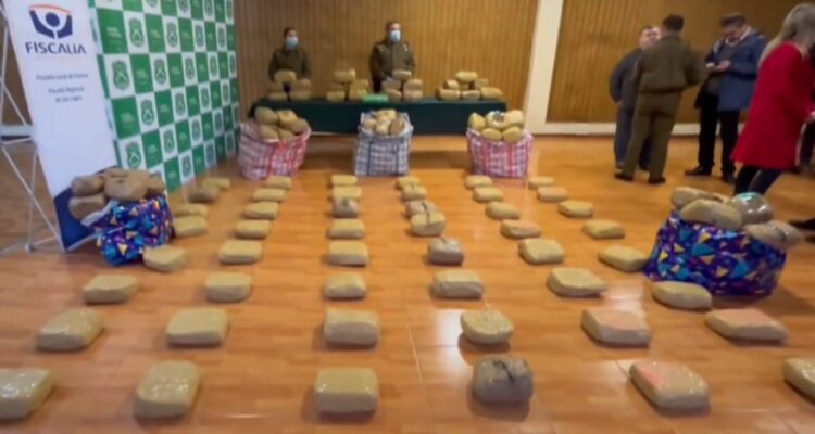 Mega decomiso de marihuana en Osorno