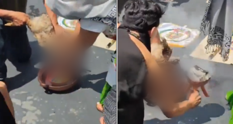 Sacrificio gallina en México