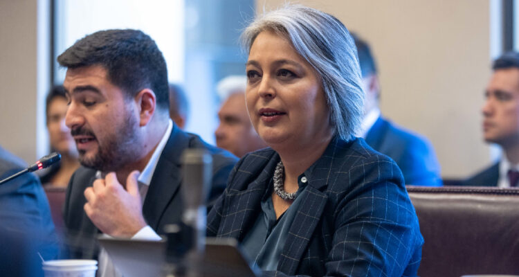 imagen de la ministra de Trabajo, Jeannette Jara, en sesión de la Comisión de Trabajo del Senado