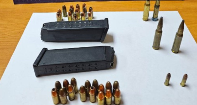 Municiones detectadas en paso Mamuil Malal