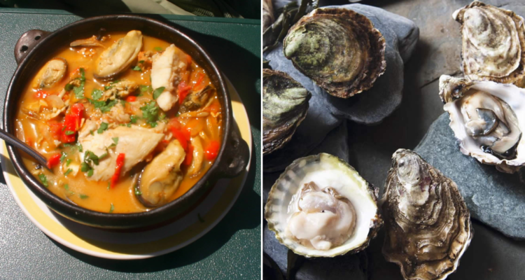 Estudios sobre mariscos y cambio climático