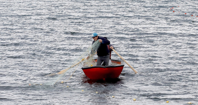 Imagen de pescadores por petición de veda de sardina y anchoveta