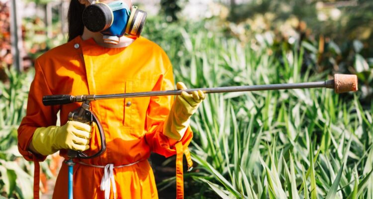 Esta es la plaga que se detectó en Chile: amenaza cultivos y tiene zonas en cuarentena