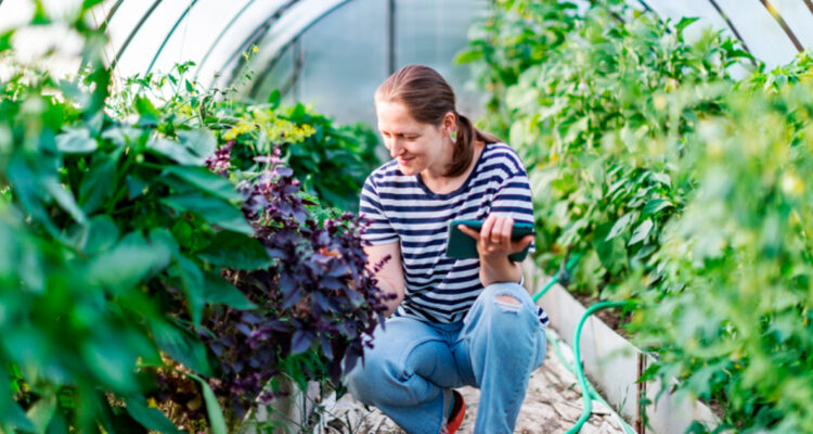 Santander y Sistema B lanzan programa ‘Mide lo que importa’