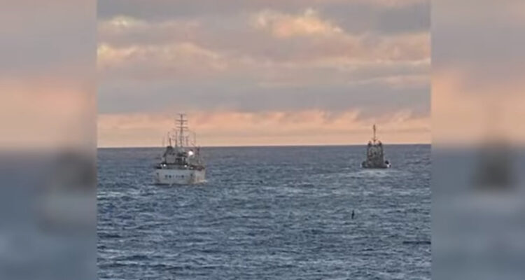 Polémica por remolcador chileno que fue interceptado por Argentina por navegar cerca de las Malvinas