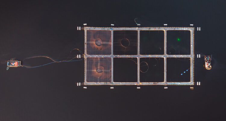 imagen contexto de centro de cultivo de salmón