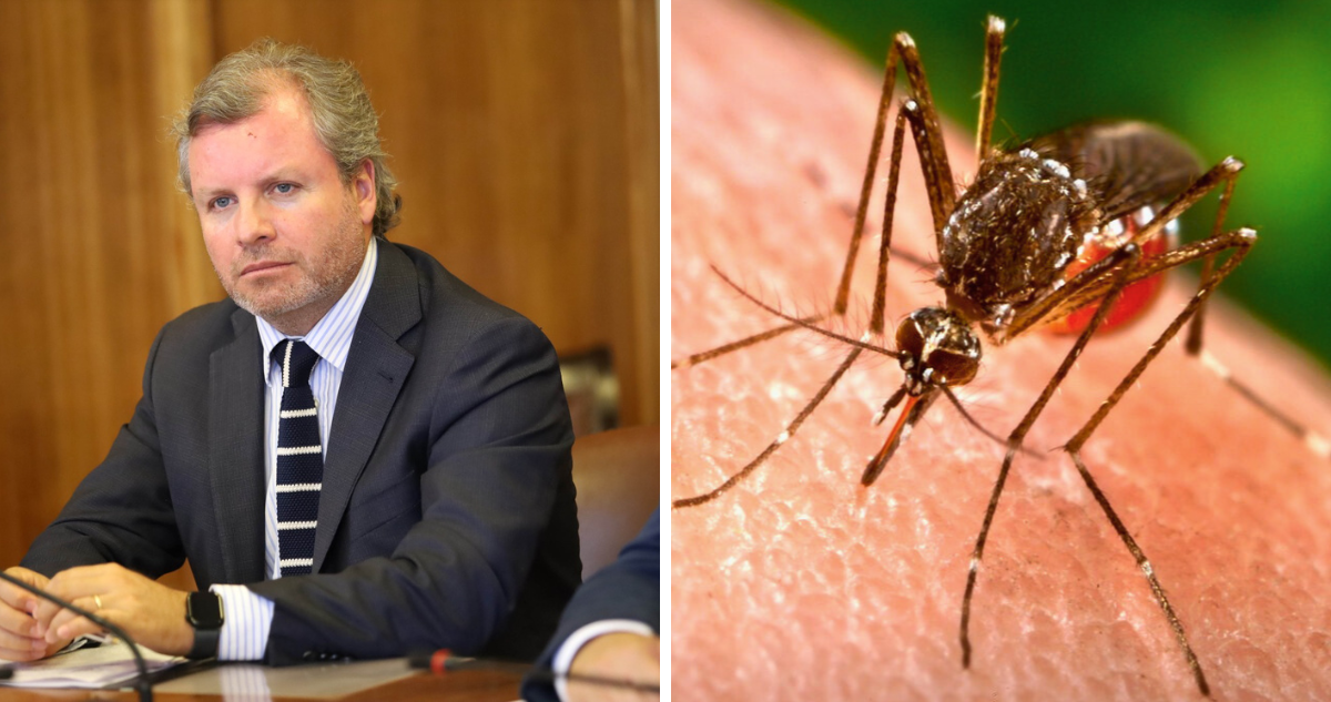 Trisotti (REP) pide al Gobierno medidas preventivas para evitar expansión del dengue en el norte