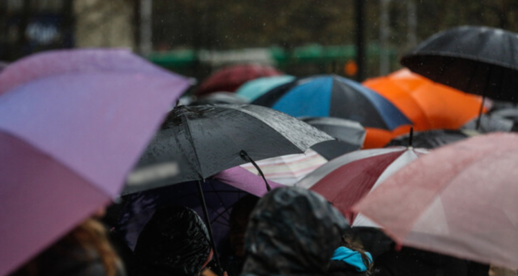 Los Ríos: Senapred declara Alerta Temprana Preventiva para 4 comunas por riesgo de remoción de masa