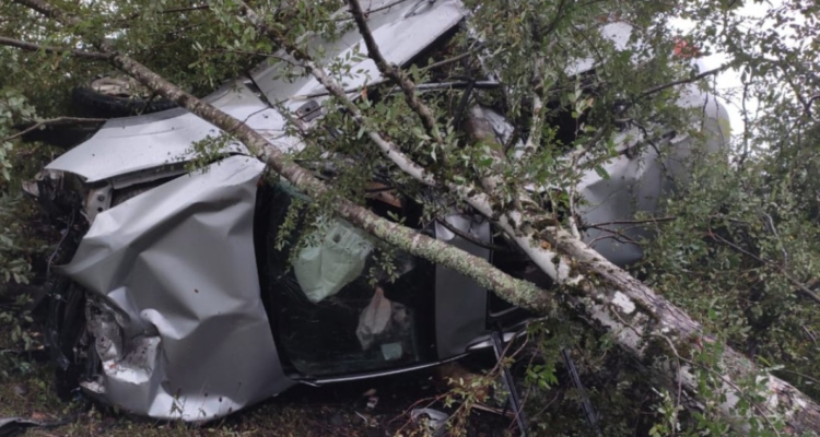 Adulto mayor muere tras volcar vehículo que conducía en ruta que une comunas de Freire y Villarrica