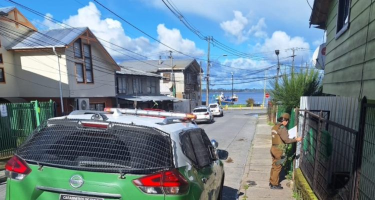 Detienen a veterinaria que tenía 7 plantas de marihuana: prestaba servicios en Municipio de Calbuco