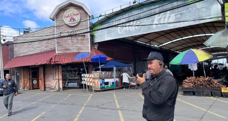Interior de Vega Monumental