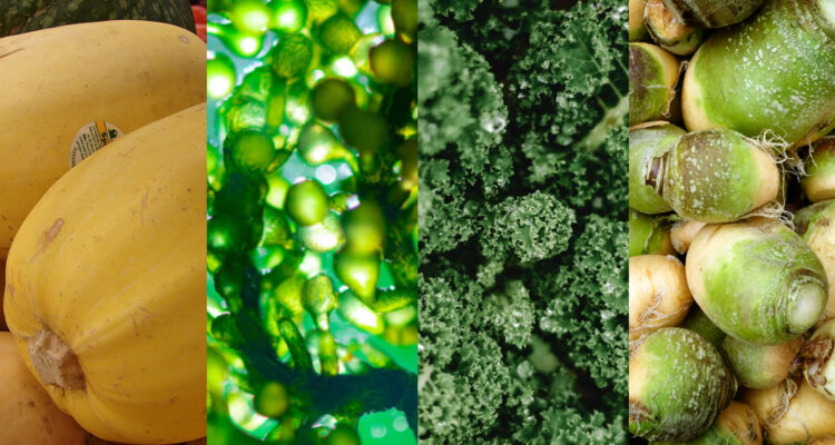 Vegetales poco conocidos excelentes para la salud