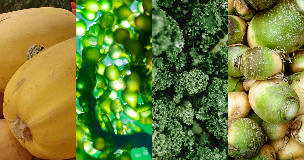 Vegetales poco conocidos excelentes para la salud