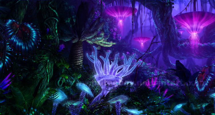 A diferencia de la Tierra, donde predomina el verde, en el caso de la vida extraterrestre el color idóneo a buscar sería el púrpura.