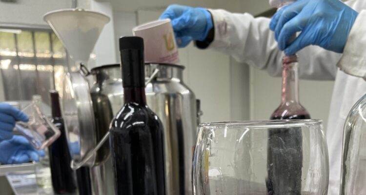 Investigadores de la USACH lograron desarrollar una nueva línea de levaduras que produce vinos con menos grados de alcohol.