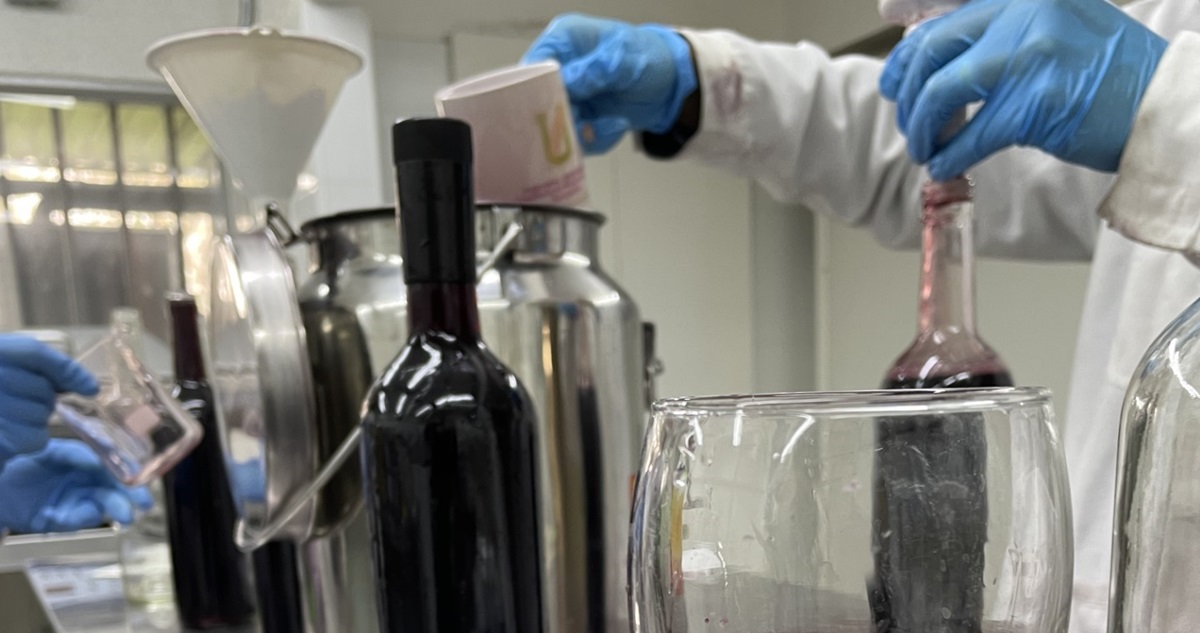 Investigadores de la USACH lograron desarrollar una nueva línea de levaduras que produce vinos con menos grados de alcohol.