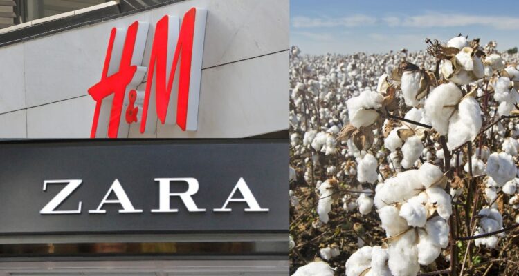 ONG denuncia a Zara y H&M de estar “vinculadas” a la deforestación ilegal en Brasil