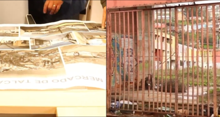 $70 mil millones solicitará la Municipalida de Talcahuano al Gobierno Regional para restaurar el Mercado Municipal.