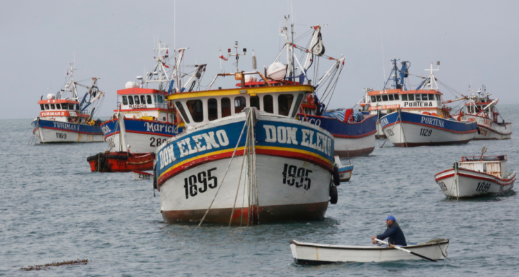 Hoy vence plazo para presentar inquietudes sobre la nueva Ley de Pesca en la Comisión de Pesca de Concepción.
