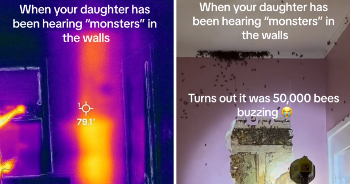 Una niña comentó a sus padres que oía “monstruos” en su pieza, pero en realidad eran una colmena con más de 50 mil abejas.