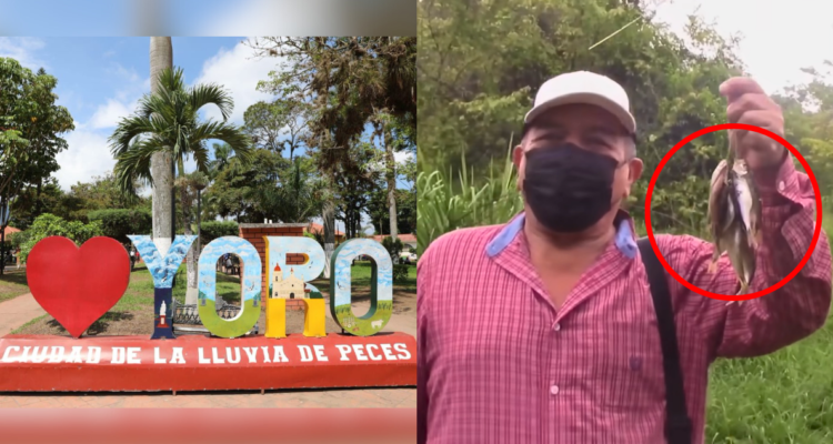¿Acontecimiento milagroso?: Yoro, la ciudad hondureña donde “llueven peces” cada año