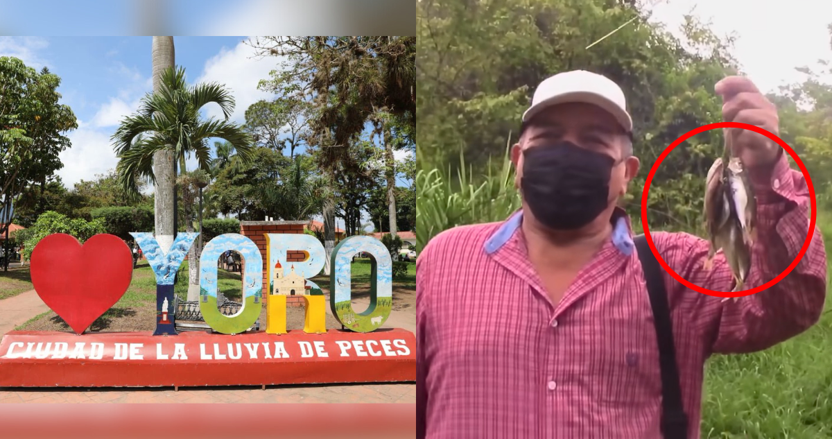 ¿Acontecimiento milagroso?: Yoro, la ciudad hondureña donde “llueven peces” cada año