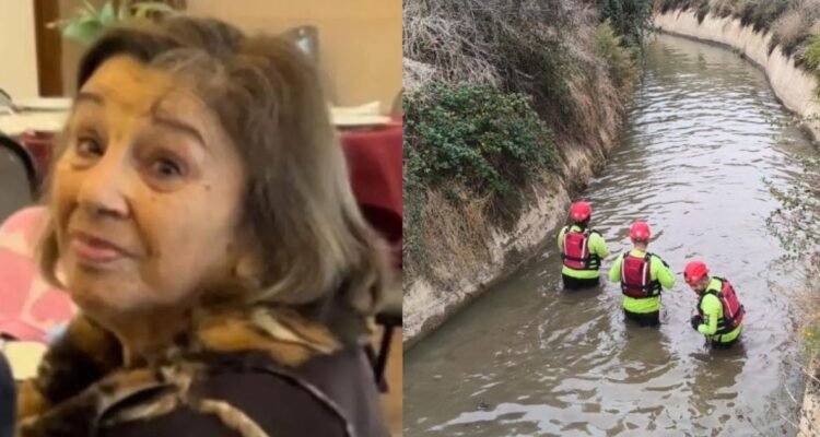 Adulta mayor desaparecida en Limache: esto es lo que se conoce a la fecha según la búsqueda