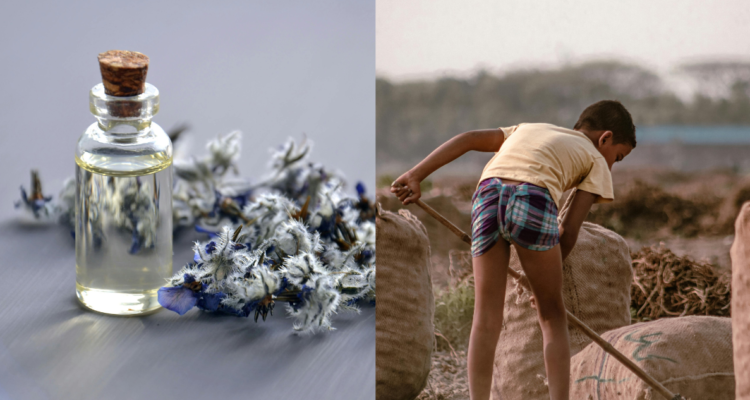 BBC revela explotación infantil de cadenas de perfumes en Egipto: les pagan $1.000 pesos por noche