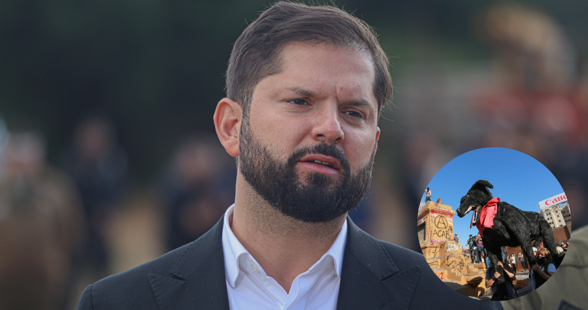 Boric perro matapacos