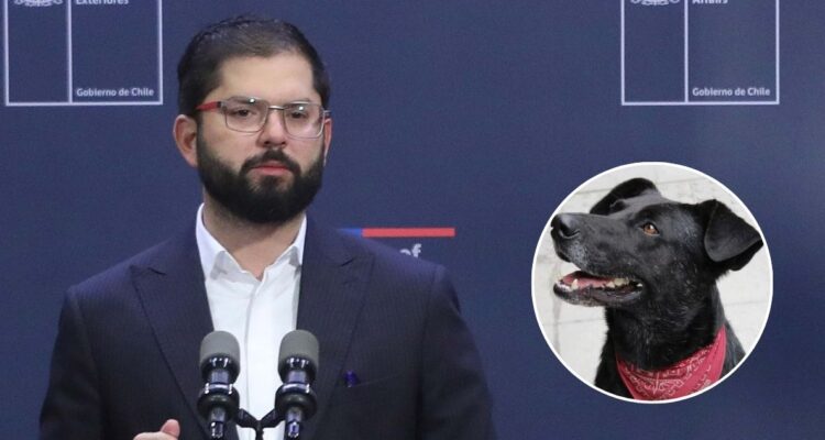 De “hace una reflexión” a “no es sincero”: lo que dejó arremetida de Boric contra el “perro matapacos”