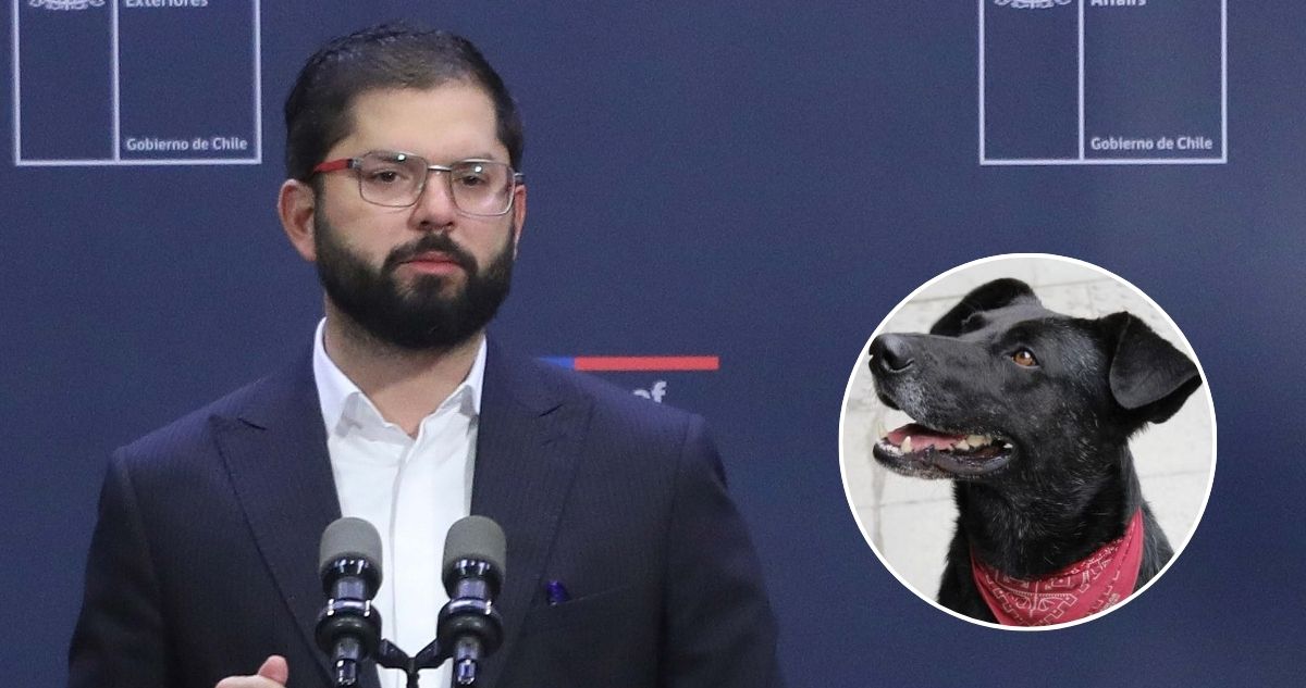De “hace una reflexión” a “no es sincero”: lo que dejó arremetida de Boric contra el “perro matapacos”