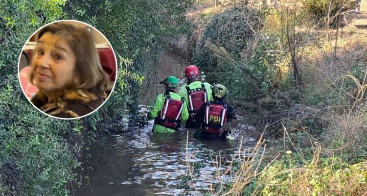 PDI – Cedida a RBB