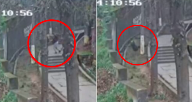 Cierran indagatoria por caso de adulto mayor que murió tras ser empujado de escalera Los Tilos en Lota