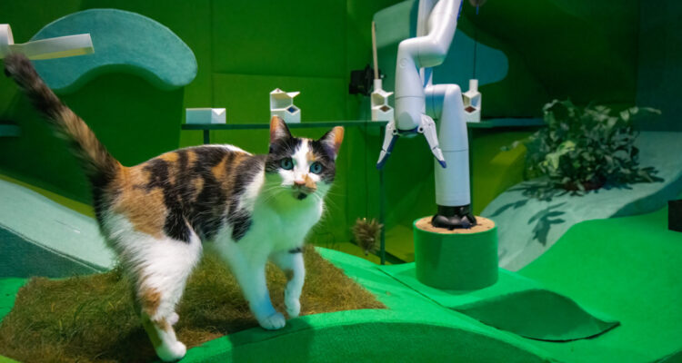 ¿Le confiarías a tu ‘michi’?: Crean robot cuidadosamente diseñado para cuidar y jugar con gatos