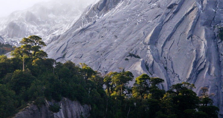 Organizaciones buscan salvar emblemática zona ecológica de Cochamó: necesitan 78 millones de dólares