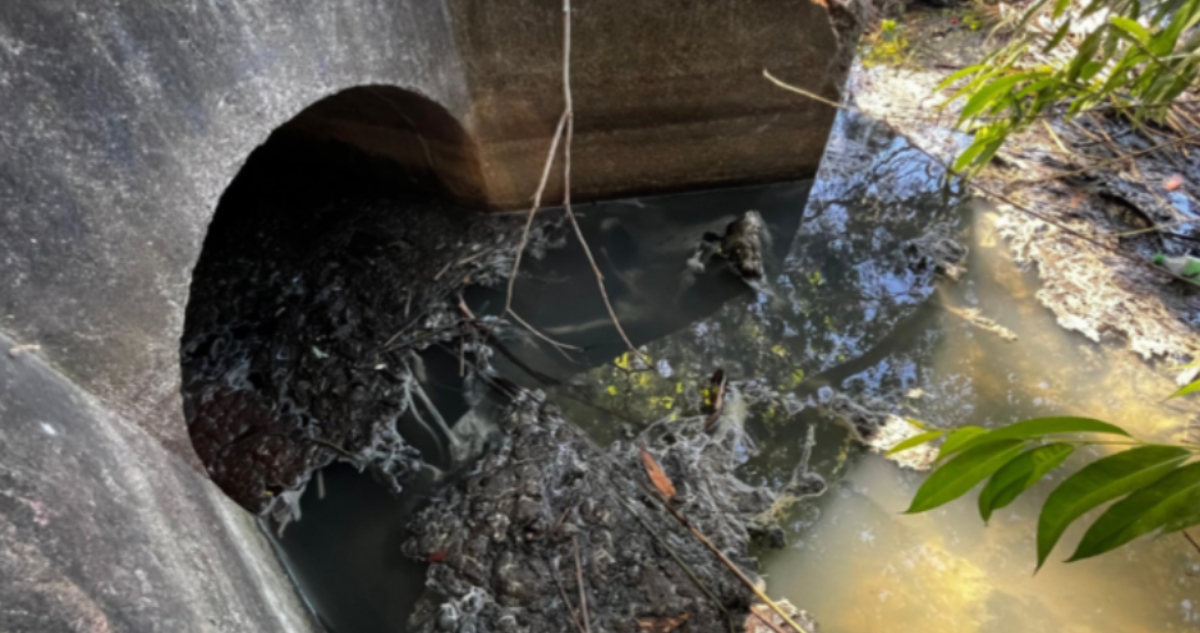 Justicia da ultimátum a San Pedro de La Paz por contaminación en Laguna Grande y humedal Bayona
