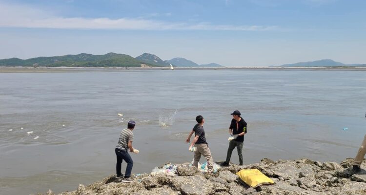 lanzamiento de botellas