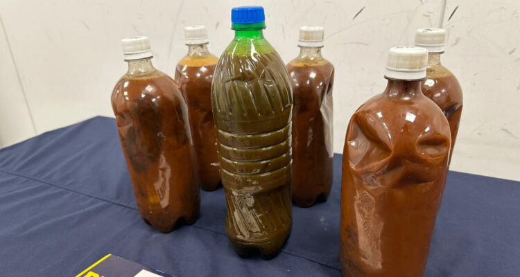 Detienen a sujeto en aeropuerto de Santiago por traer 6 botellas de ayahuasca desde Brasil
