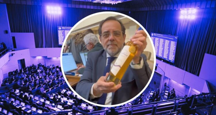 Día del Pajarete: la urgencia del Gobierno por tradicional vino que causó el enojo de la oposición