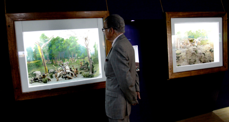 Hombre viendo exposición por Día de los Patrimonios en el Bío Bío
