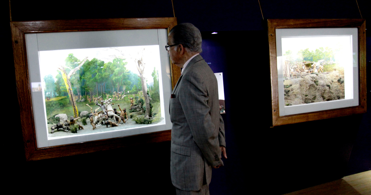 Hombre viendo exposición por Día de los Patrimonios en el Bío Bío