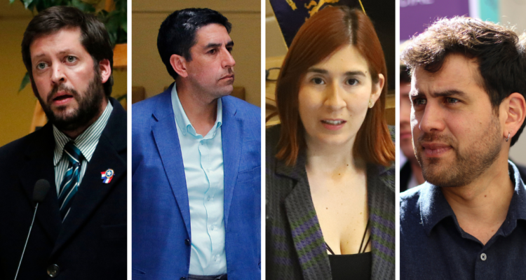diputados-deudas-fondo-solidario-750x400.png