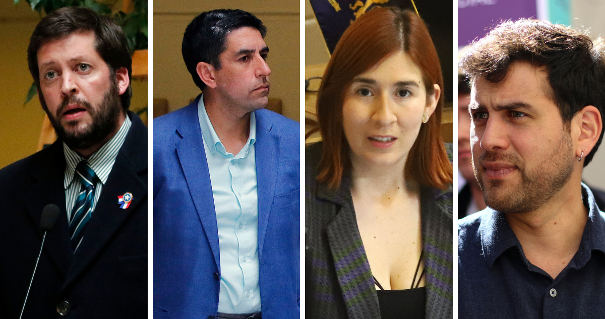 diputados deudas fondo solidario