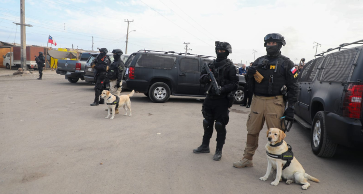 El ruso los gallegos