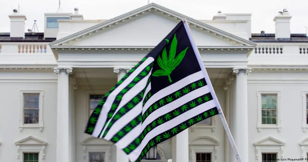 Biden pide reclasificar la marihuana como una droga de bajo riesgo para separarla de heroína y LDS
