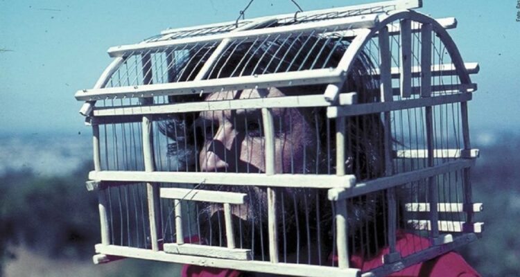 Foto de Gaspar Galaz