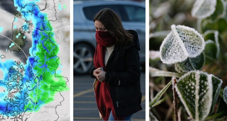 Qué son las heladas negras y blancas, el fenómeno del pronóstico del tiempo por bajas temperaturas en diferentes regiones de Chile.