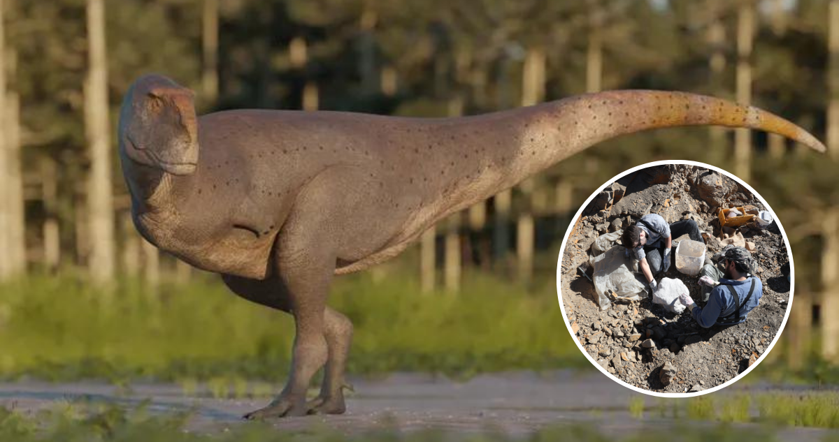 Hallan nueva especie de dinosaurio carnívoro en la Patagonia: el “Koleken inakayali”
